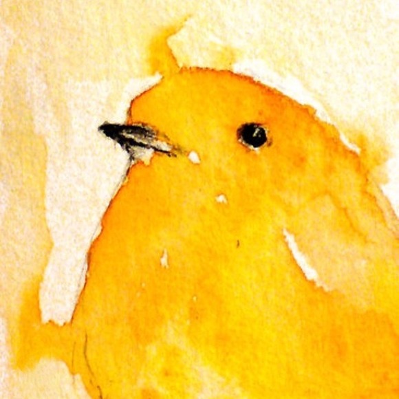 Profile Picture of Debra Stevens (@deb_74) on Poshmark