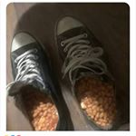 Profile Picture of Chad Rowanheart (@chadrowanheart) on Instagram