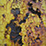 Profile Picture of Jason Delancey (@destructor of soil) on Flickr