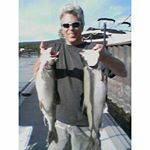 Profile Picture of Michael Benghiat (@michaelbenghiat) on Instagram