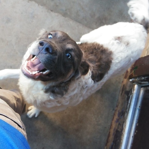 Jared Roland - Poshmark Profile Picture of Jared Roland (@jaredroland33) on Poshmark