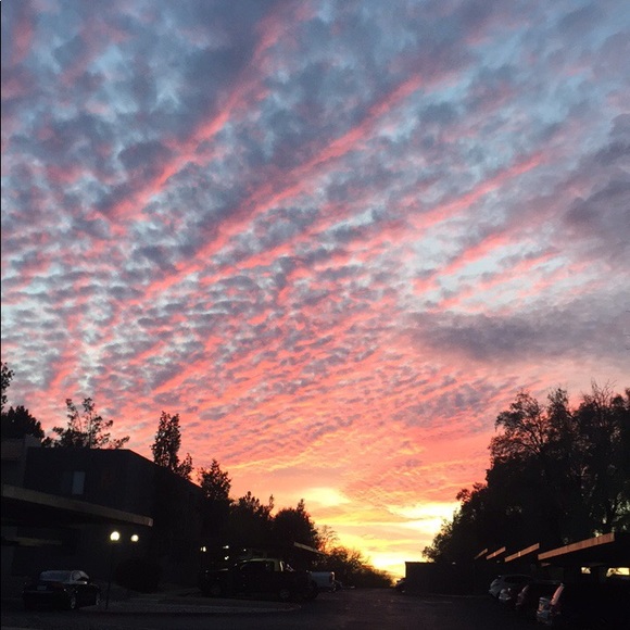 Profile Picture of Brittany Geweke (@brittybrat07) on Poshmark