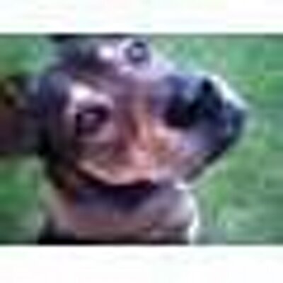 Profile Picture of Mike Brehm (@mikebrehm) on Twitter