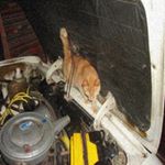 Profile Picture of Gregory Janson (@twardowski_vin) on Instagram