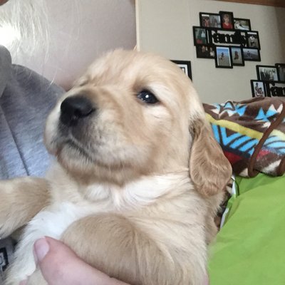 Bailey Walden - Twitter Profile Picture of Bailey Walden (@Baileywalden08) on Twitter