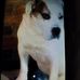 Profile Picture of Cc Cottin (@cc.cottin) on Facebook