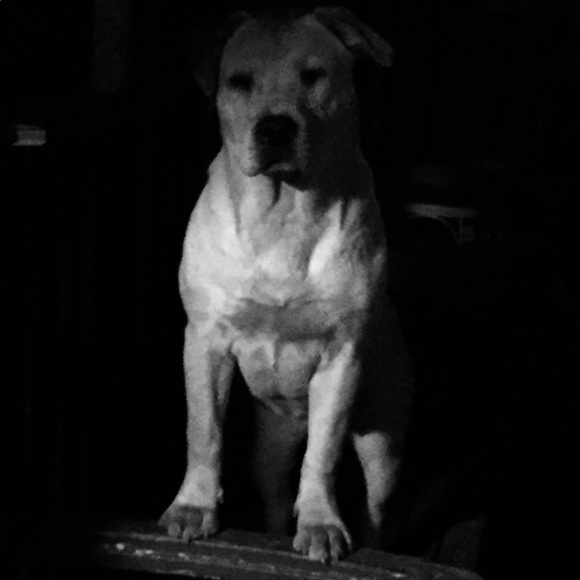 Profile Picture of Craig Lannom (@cfoe4000) on Poshmark