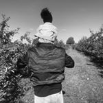 Profile Picture of Kyle Vincent (@famousbeard) on Instagram