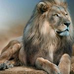 Profile Picture of Adam Tench (@adam.tench.169067) on Instagram