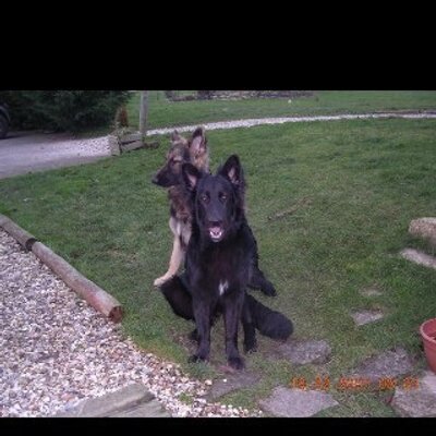 Profile Picture of Dan Norrell (@Dan_Norrell) on Twitter