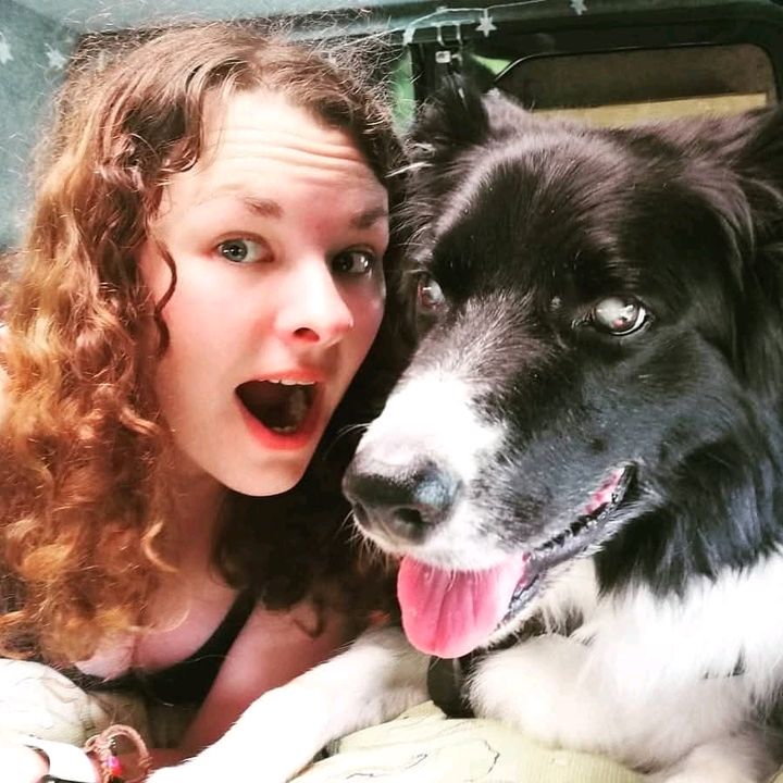 Becky *Living for Hamish* - Tiktok Profile Picture of Becky *Living for Hamish* (@blindcollie) on Tiktok