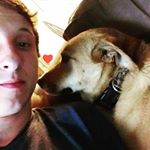 Profile Picture of Daniel Steger (@daniel__steger) on Instagram