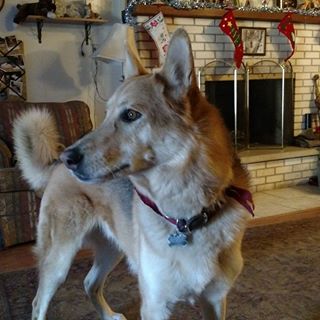 Profile Picture of Carl Sundell (@carl.sundell.12) on Facebook