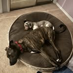 Profile Picture of Glenn McEachern (@glenn.mceachern.856129) on Facebook