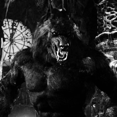 Profile Picture of Michael Hinrichsen (@MichaelHinrich7) on Twitter