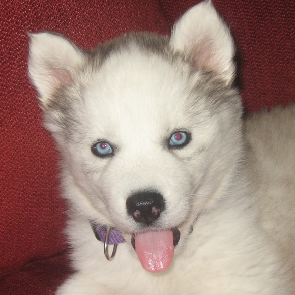 Profile Picture of Adria Vittitow (@adria_103) on Poshmark