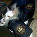 Profile Picture of Josephine Villarreal (@josephine.villarreal.7524) on Facebook
