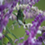 nbmpty - Flickr Profile Picture of nbmpty (@nbmpty) on Flickr