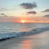 Profile Picture of 8.0.1_danielle (@danielle_schiel) on Tiktok