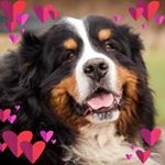 Profile Picture of Wendy Allen (@wendy.allen.5074) on Instagram