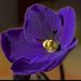 Profile Picture of Karla White-Murrell (@karlawhitemurre) on Pinterest