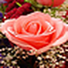 Profile Picture of Mohammad  Zubair (@Mohammad Zubair) on Flickr
