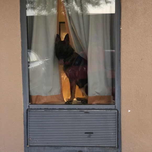 Profile Picture of Derek Roberts (@slipping_) on Poshmark