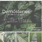 Profile Picture of demostenes urbano santos soare (@demostenes_timbeta) on Instagram