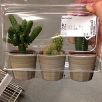 Profile Picture of Joshua Bottomley (@joshua-bottomley) on Quora