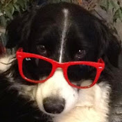 Profile Picture of SkyBo's Adventures (@skybosadventures1422) on Youtube