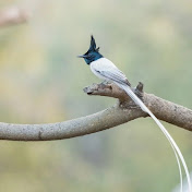 Profile Picture of Giulia Ugolotti (@giuliaugolotti23) on Youtube