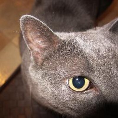 Profile Picture of Matthew Badura (@titospapa) on Twitter