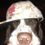 Profile Picture of Shea Kennedy (@shea_kennedy) on Instagram