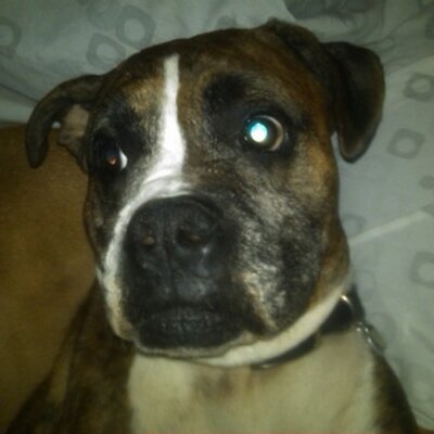 Joseph Artiaga - Twitter Profile Picture of Joseph Artiaga (@@kreapyjoe) on Twitter