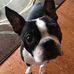 Profile Picture of Joy Bateman (@joy.bateman.77) on Facebook