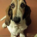 Profile Picture of michael_bilbao (@michael_bilbao) on Instagram