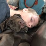 Profile Picture of Jackson Walters McDonald (@jackson_wm) on Instagram