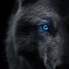Profile Picture of Mazza Topher (@mazzachristopher) on Tiktok