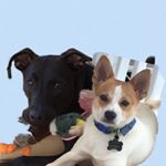 Profile Picture of Layla Rose and Sherman Hayes (@lovin_layla_sherman_hayes) on Instagram