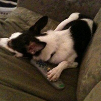 Profile Picture of Brian Litzinger (@Skitch230) on Twitter