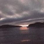 Tracy Fitzsimmons - Instagram Profile Picture of Tracy Fitzsimmons (@fitzsimmons3012) on Instagram