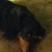Profile Picture of Max Crandall (@max.crandall.35) on Facebook