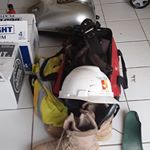 Profile Picture of Travis McGowan (@captmufasa) on Instagram