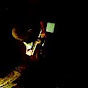 Profile Picture of overheidsstress (@@overheidsstress) on Tiktok