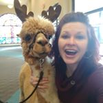 Profile Picture of Bobbi Haws (@bobbihaws) on Instagram