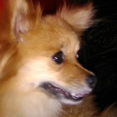 Profile Picture of David Merkel (@david_merkel) on Twitter