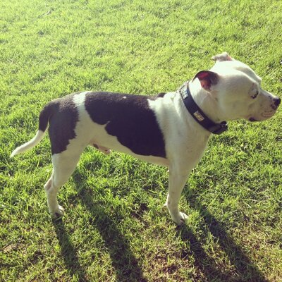 Profile Picture of Scott Danby (@SDanbz) on Twitter