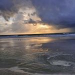 Profile Picture of Sharon Withrow (@jaxbeachpeach) on Instagram