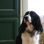 Profile Picture of Alice Antonetti (@alice.antonetti) on Facebook