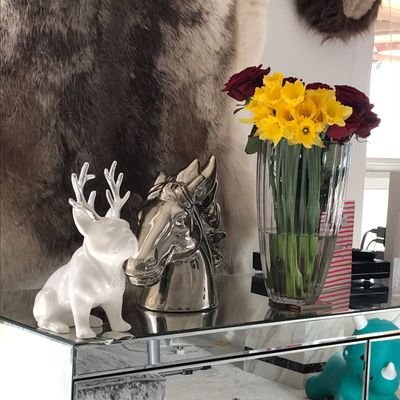 Profile Picture of Tommy Kwan (@tommykwan111) on Twitter